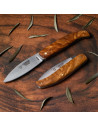 Olive handle pocket knife, blade 9.5 cms.