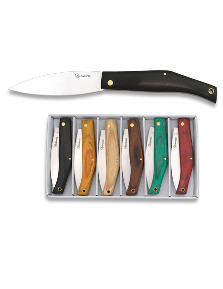 Set of 6 colored knives with piston...