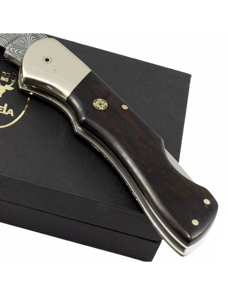 Locking knife with damascus steel blade