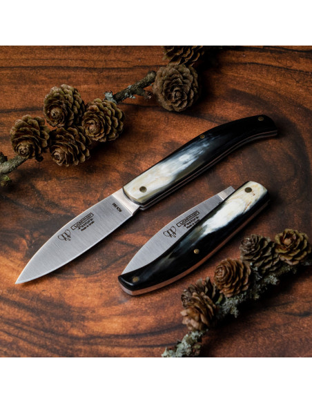 Pastora pocket knife, horn handle,...