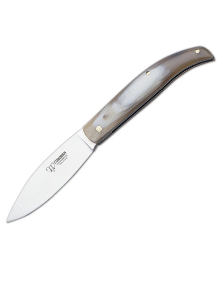 Pastora pocket knife, horn handle,...