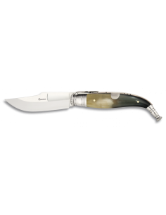 Bull horn handle knife, blade 10 cms.