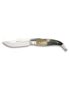 Spanish penknife bull horn handle (blade 6 cm.)