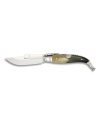 Classic bull horn handle penknife (blade 8 cm.)