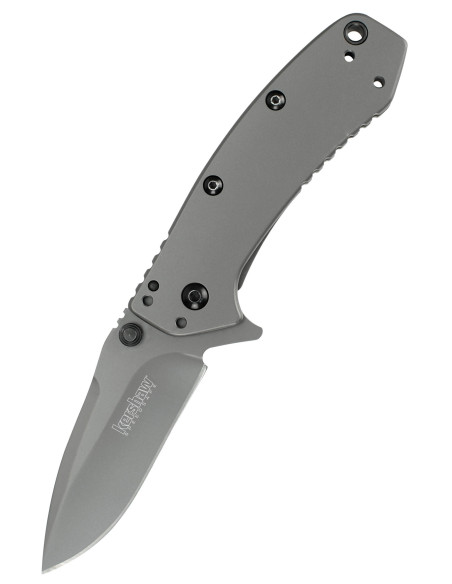 Kershaw Cryo Tactical Knife