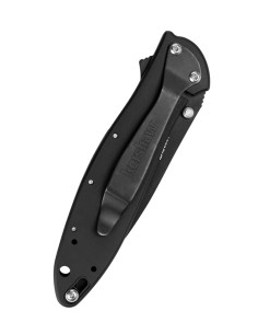 Kershaw Leek Pocket Knife, Black 2