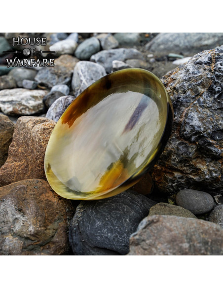 Medieval plate made of horn horn (15...