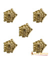 Set of 5 medieval tudor roses for belt