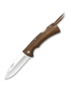 Albainox knife with stamina handle (21.2 cm.)