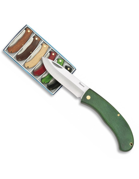 Set of 6 Albainox brand knives (16.5...