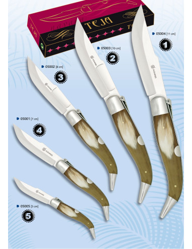 Albainox brand knife, Teja model, bull horn handle