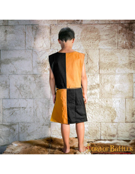 Lion Rampant shield child tabard,...