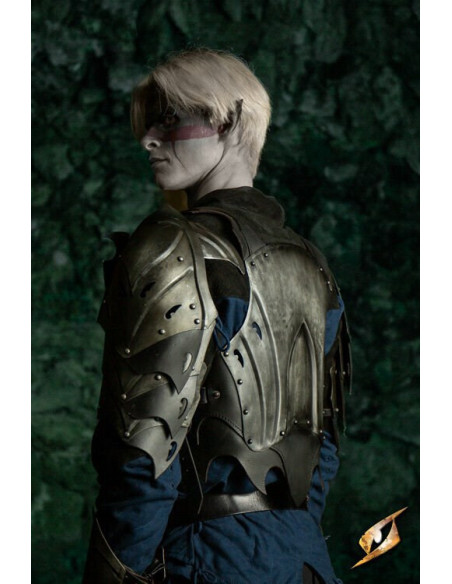 Night Charm Dark Elf Breastplate with... Night Charm Dark Elf Breastplate with...