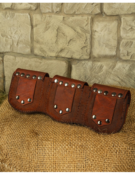 Set of 3 medieval Lion belt bags in...