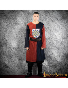 Medieval tabard two-color heraldic shield 2