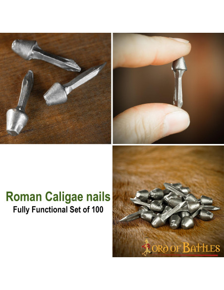 Set of 100 functional Roman nails in...