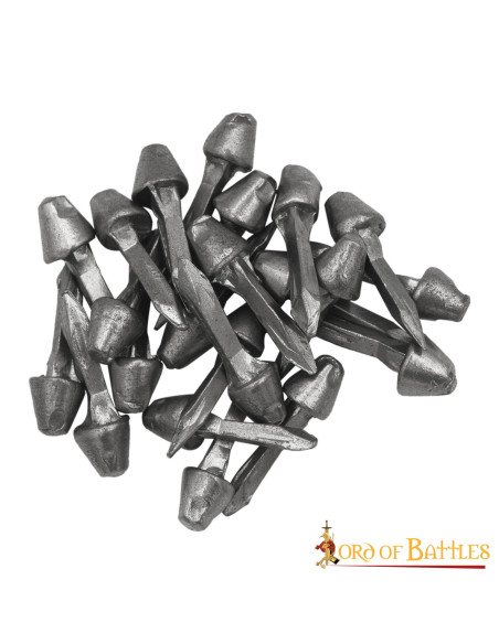 Set of 100 functional Roman nails in...