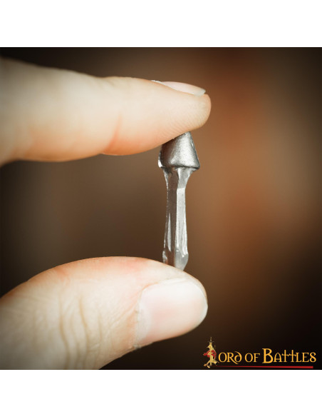 Set of 100 functional Roman nails in...