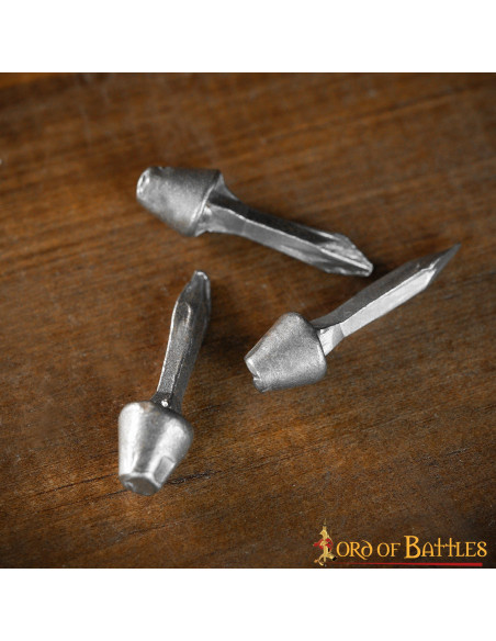 Set of 100 functional Roman nails in...
