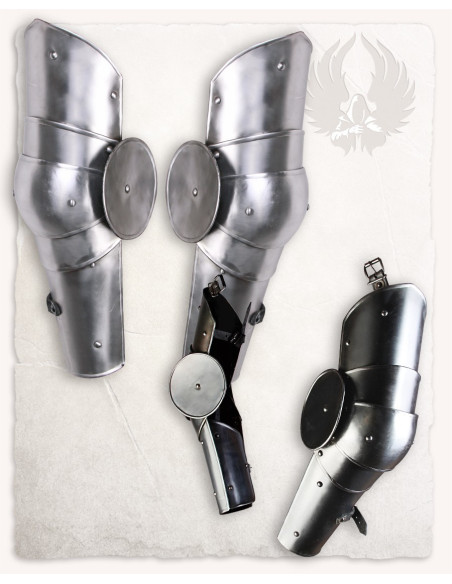 Gustav arm armor protector with plate