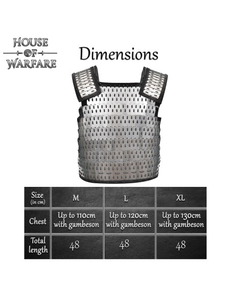 Viking Birka lamellar armor in steel