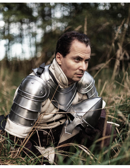 Medieval shoulder pads in polished...