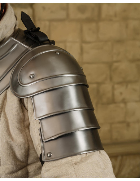 Medieval shoulder pads in polished...