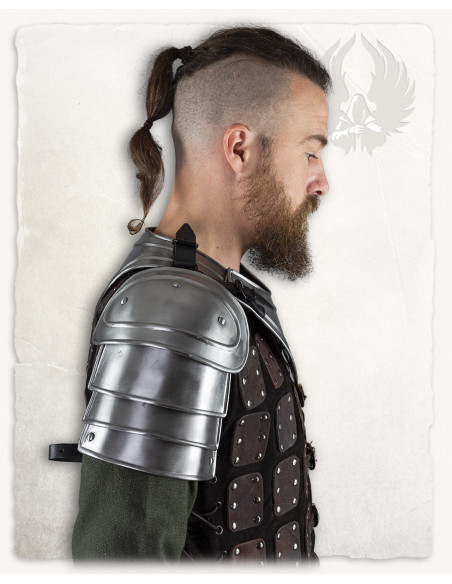 Medieval shoulder pads in polished...