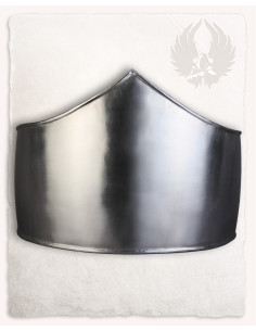 Medieval Pancera Friederich model, polished finish 2