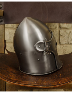 Polished steel basin with Magnus model visor 2