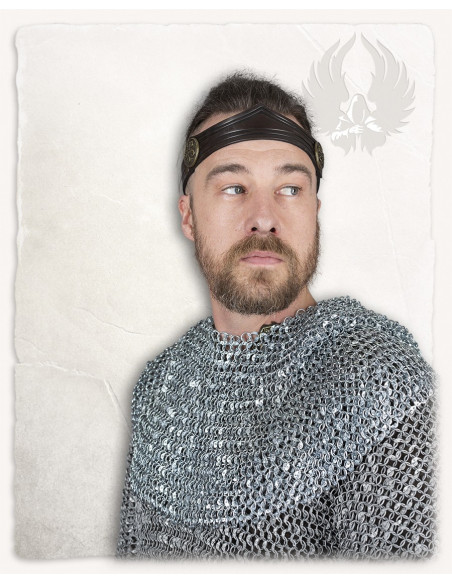 Executioner chain mail polished...