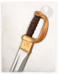 LARP pirate saber Diego model, gold finish 2