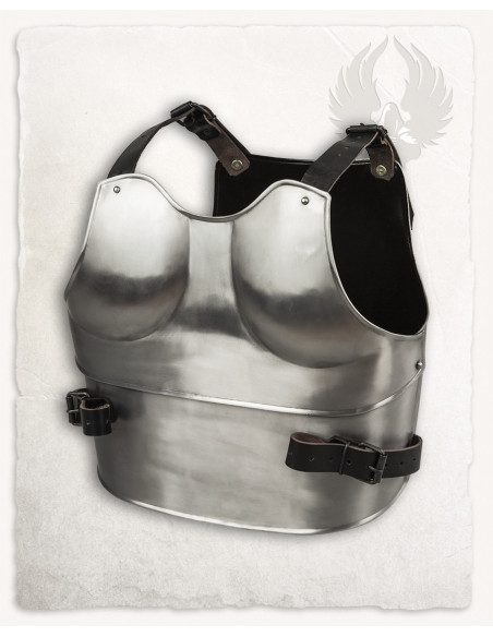 Medieval breastplate and backrest...