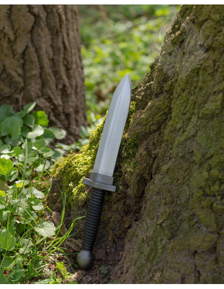 Fantastic combat dagger model Hartman II