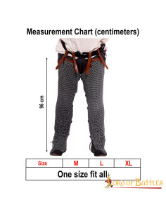 Steel chain mail pants with 9 mm rings. 2