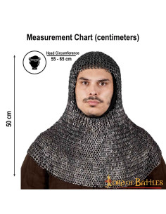Steel chain mail executioner riveted in dome (10 mm.) 2