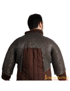 Short chain mail, riveted and alternating flat ring 2