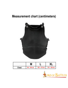 Classic Fantasy four-plate cuirass, black steel 2