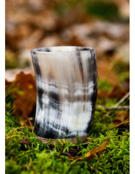 Medieval glass, horn shot glass... Medieval glass, horn shot glass...