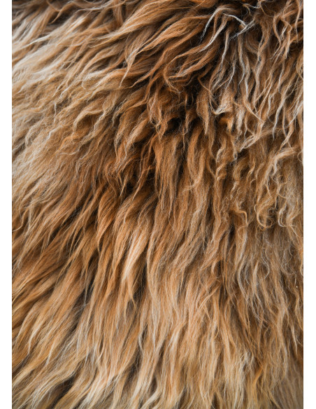 Brown Berserker skin for warriors...