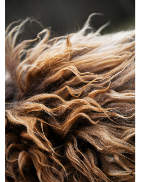 Brown Berserker skin for warriors...