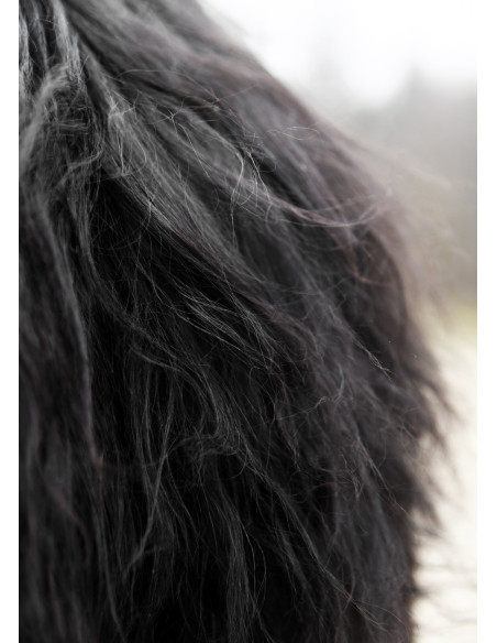 Black Berserker skin for warriors...