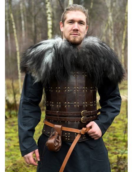 Shoulder covers for warriors in...