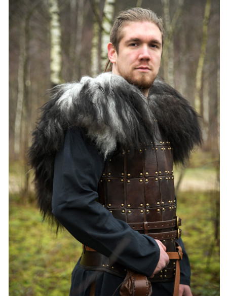 Shoulder covers for warriors in...