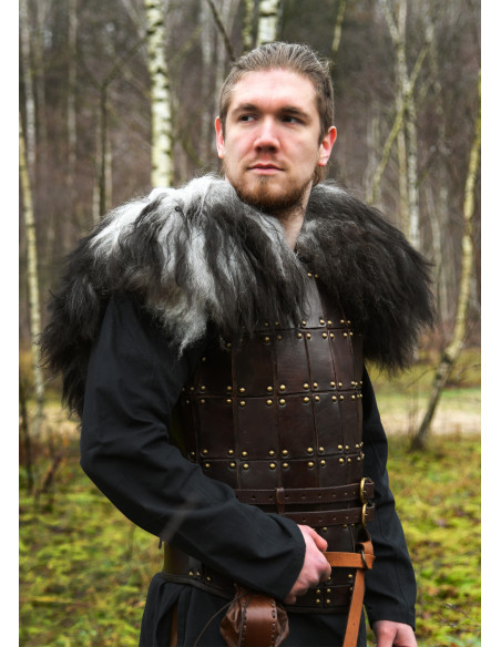 Shoulder covers for warriors in...