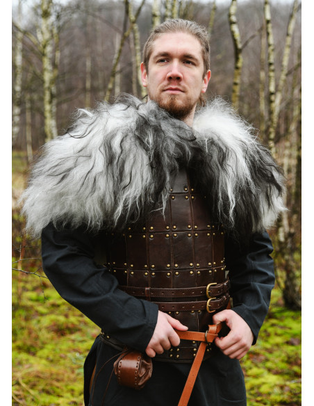 Shoulder covers for warriors in...