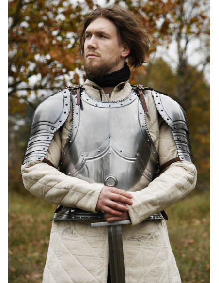 Complete Gothic style breastplate,...