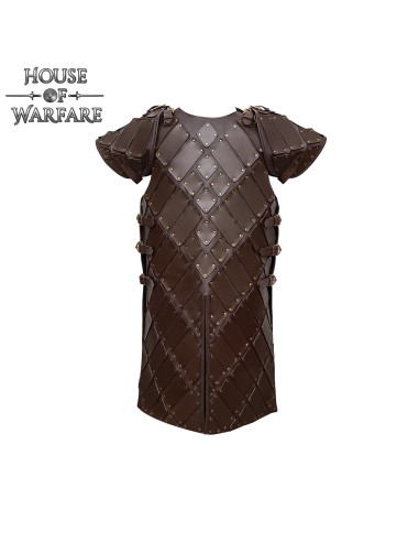 Lord of the North model leather armor, brown color