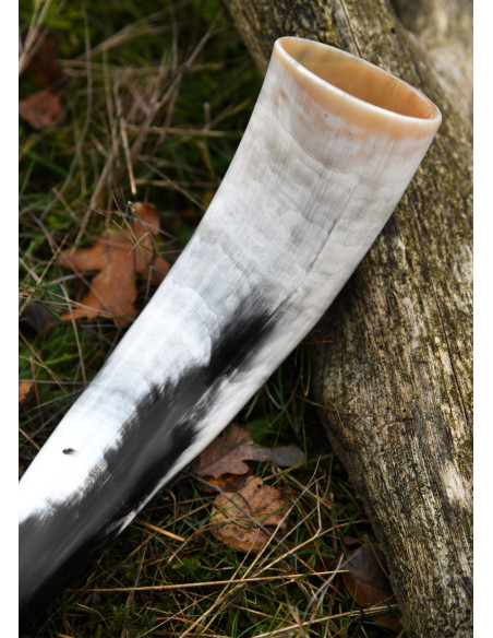 Viking horn carved design of Raven...