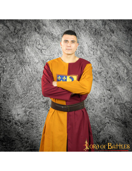 Medieval two-tone heraldic shield...